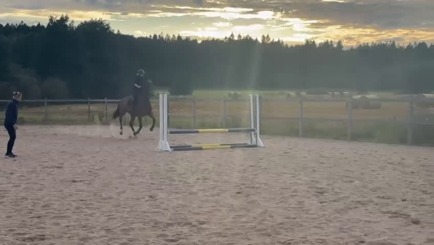 Allround hästar till salu: En bästa kompis med potential för mer - Video 2