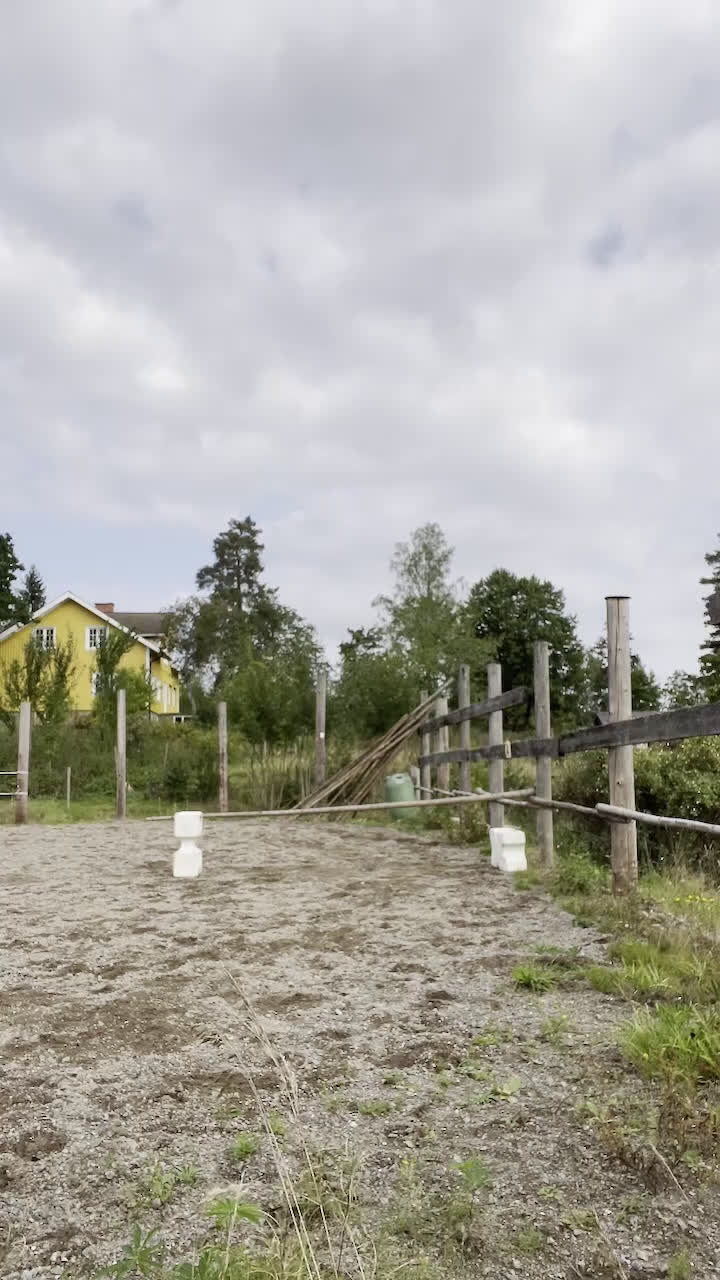  foderhäst finnes: stor B ponny i Åmål - Video 1