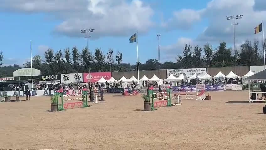 Hoppning hästar till salu: Fantastisk fin SWB med bra gång och hoppning i Laholm - Video 1