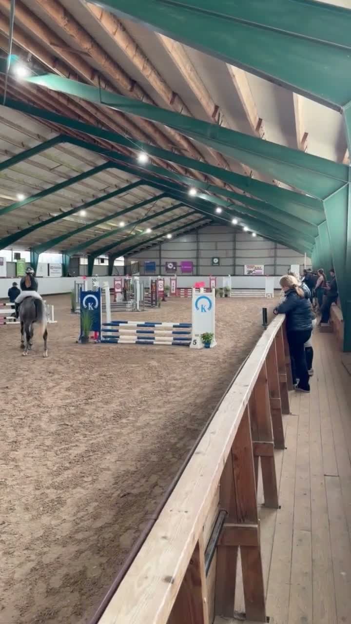 Hoppning hästar till salu: Trevlig tävlingshäst  - Video 2