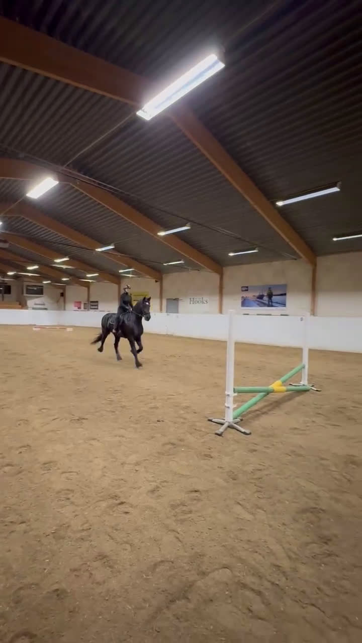 Dressyr hästar till salu: Frieser sto i Oxelösund - Video 5