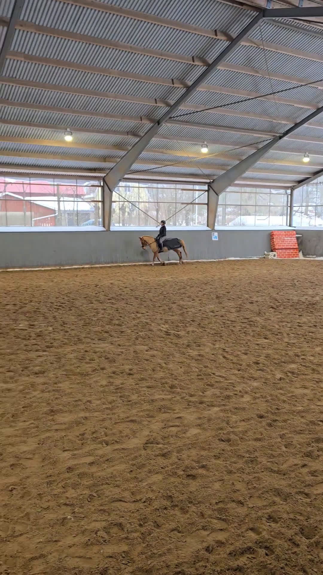 Allround hästar till salu: Fin och pålitlig allroundponny – läromästare i Kungälv - Video 3