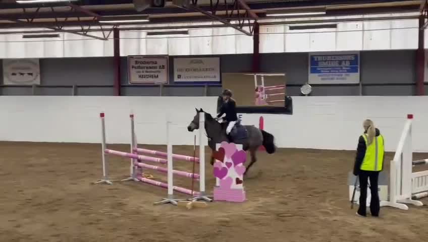 Hoppning hästar till salu: Vackert hoppsto d-ponny 148 cm född-17 i Hemse - Video 1