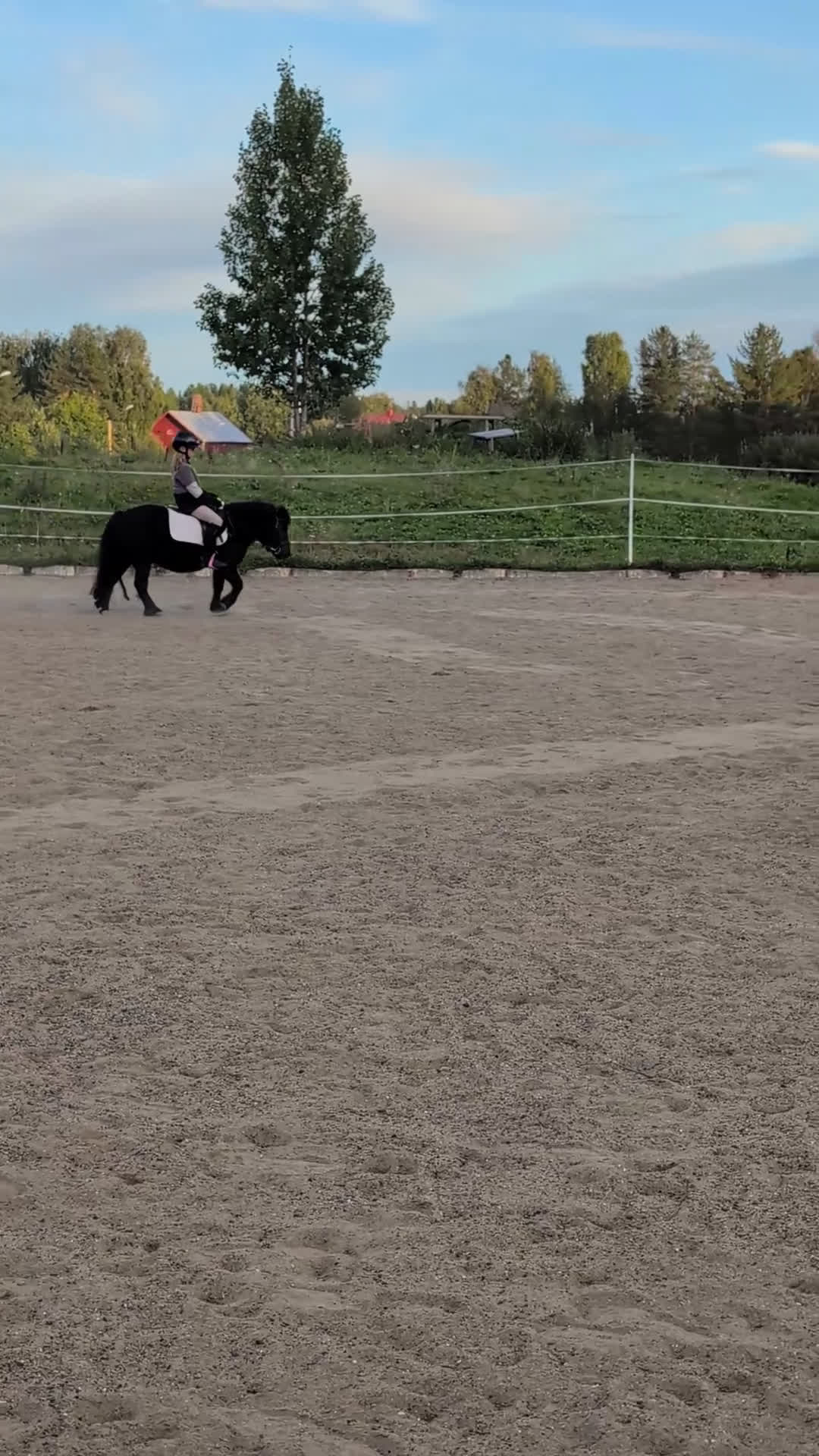 Körning hästar till salu: Snäll barnponny i Boliden - Video 1