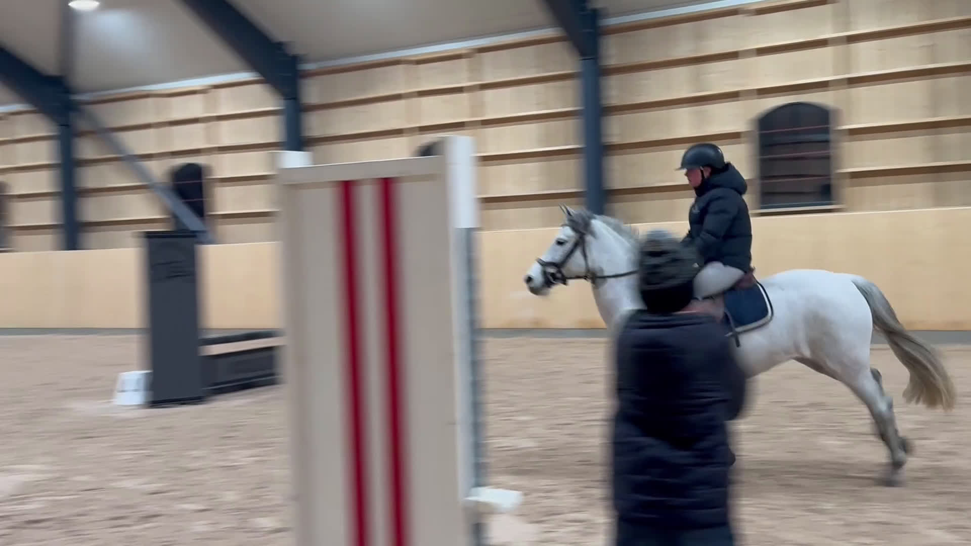 Hoppning hästar till salu: Framtida mästerskapsponny! - Video 1