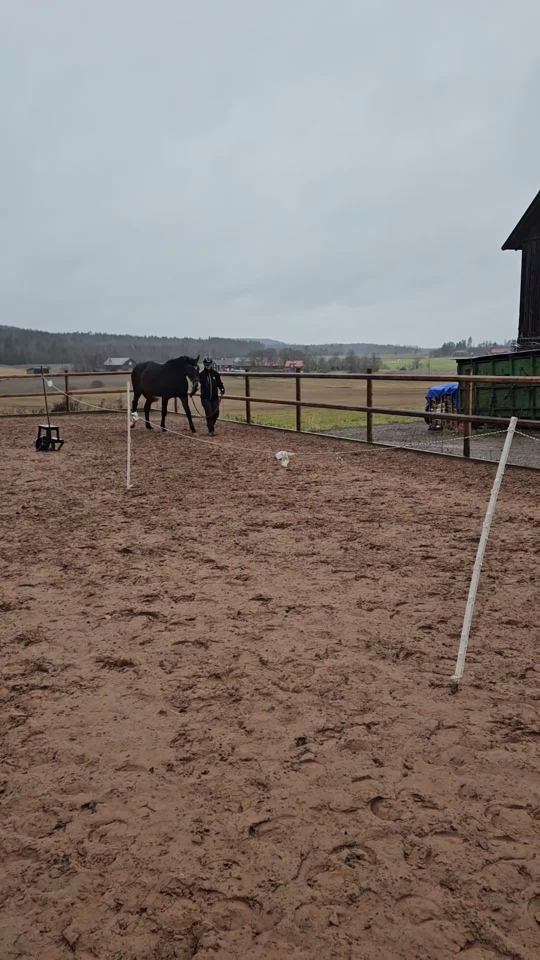 Dressyr hästar till salu: 2 åring dressyr med intressant stam  i Stora Skedvi - Video 2