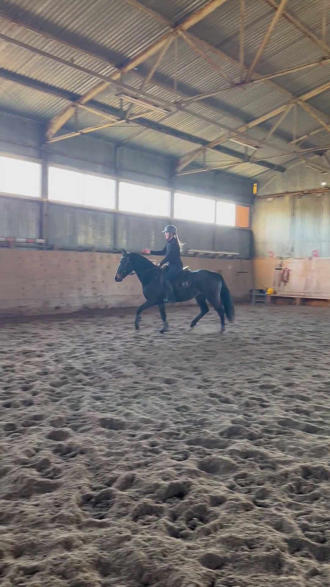 Allround hästar till salu: Godhjärtad Framtidsponny  i Nora - Video 5