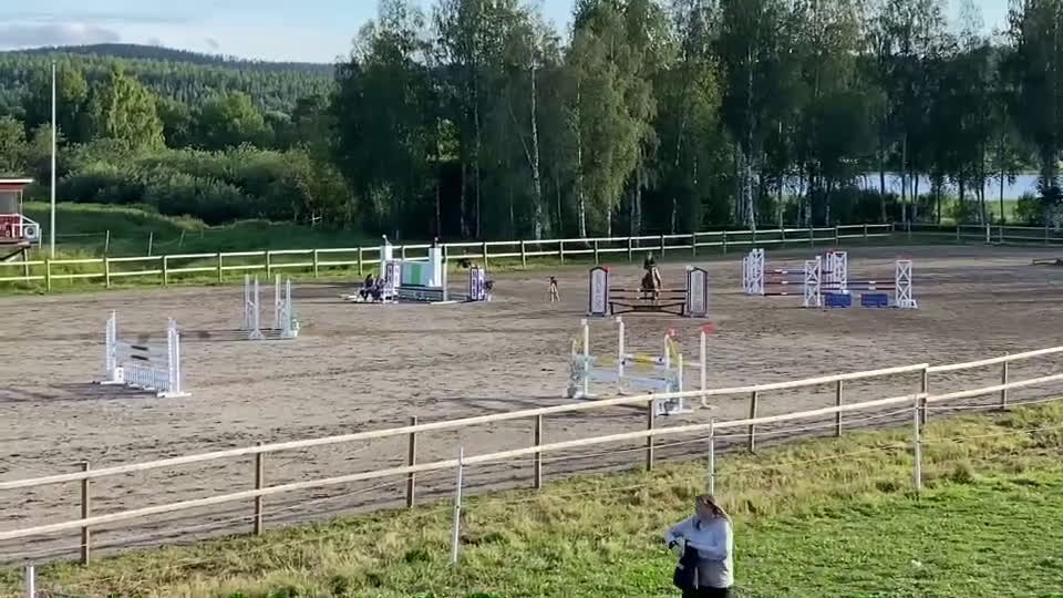 Hoppning hästar till salu: Ponny med ett hjärta av guld! i Sundsvall - Video 2