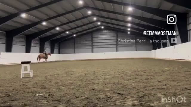 Allround hästar till salu: 4,5 årigt sto  - Video 1