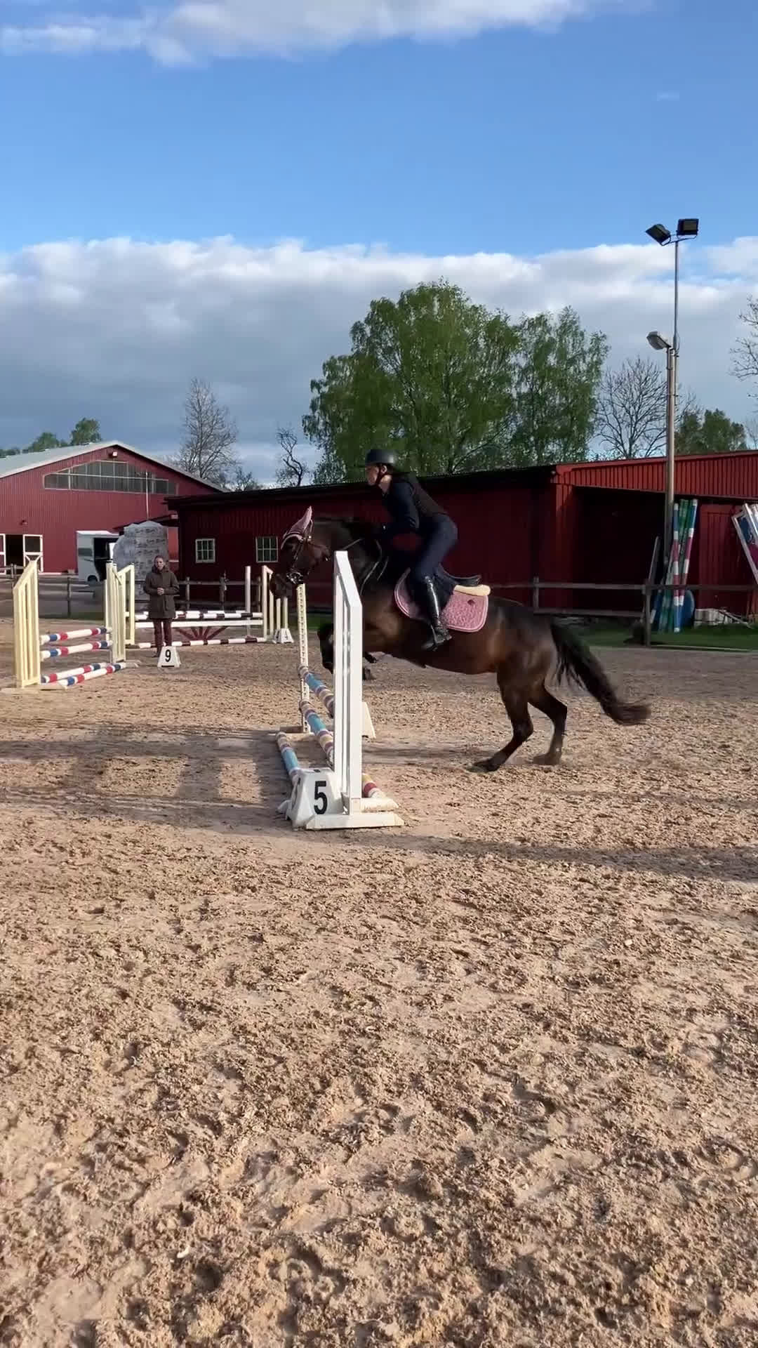 Dressyr hästar till salu: Pigg och glad ponny i Dösjebro - Video 2