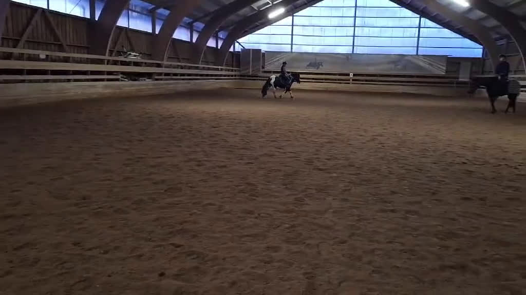 Allround hästar till salu: *reserverad*Verksamhet/hobby häst i Nybro - Video 1