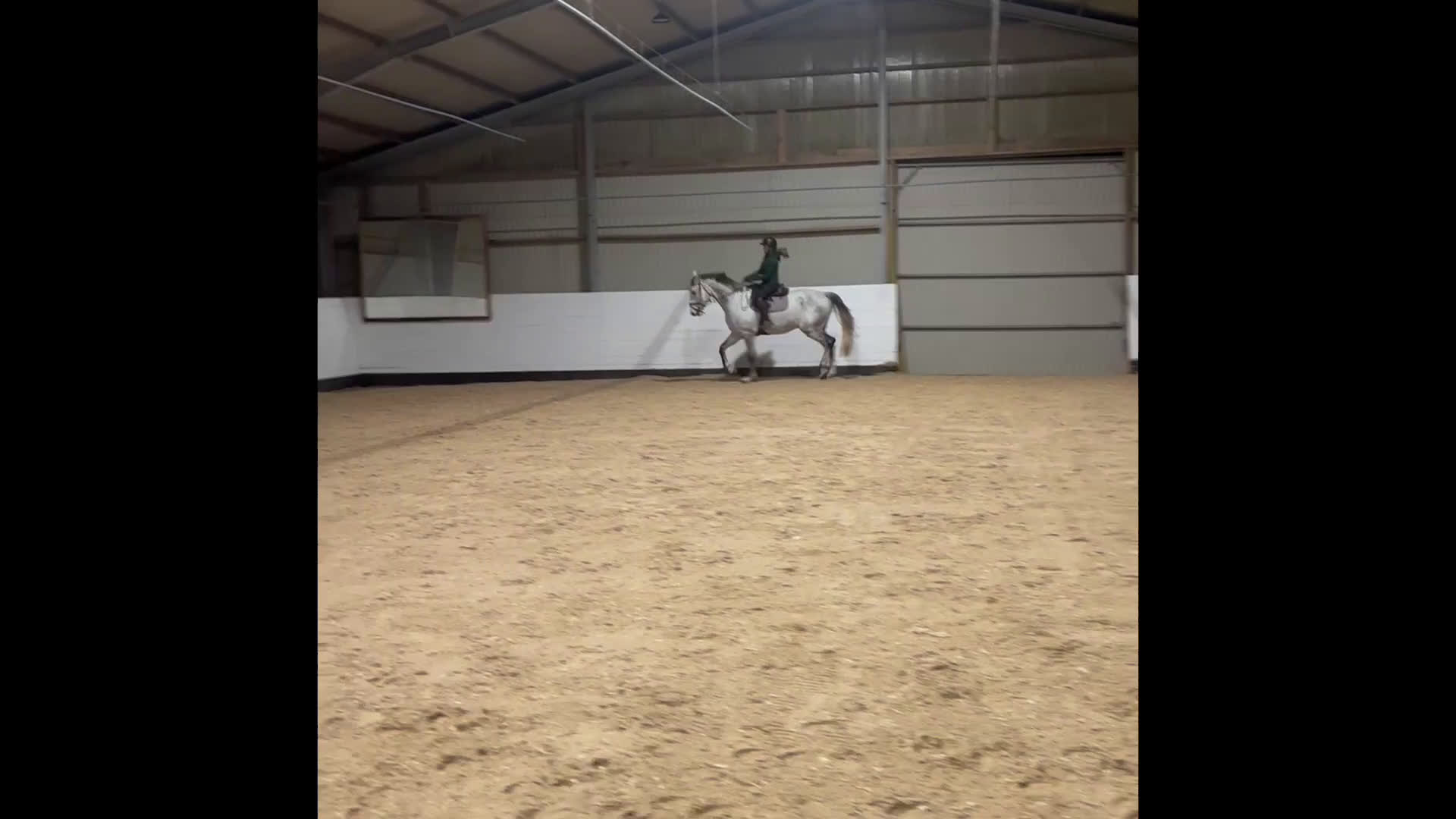 Allround hästar till salu: Världens finaste kille söker ny bästavän🦄🌟 i Halmstad - Video 1