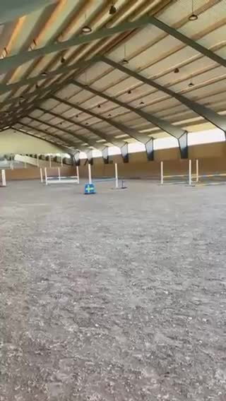 Allround hästar till salu: Allroundponny C med utvecklingspotential - Video 1
