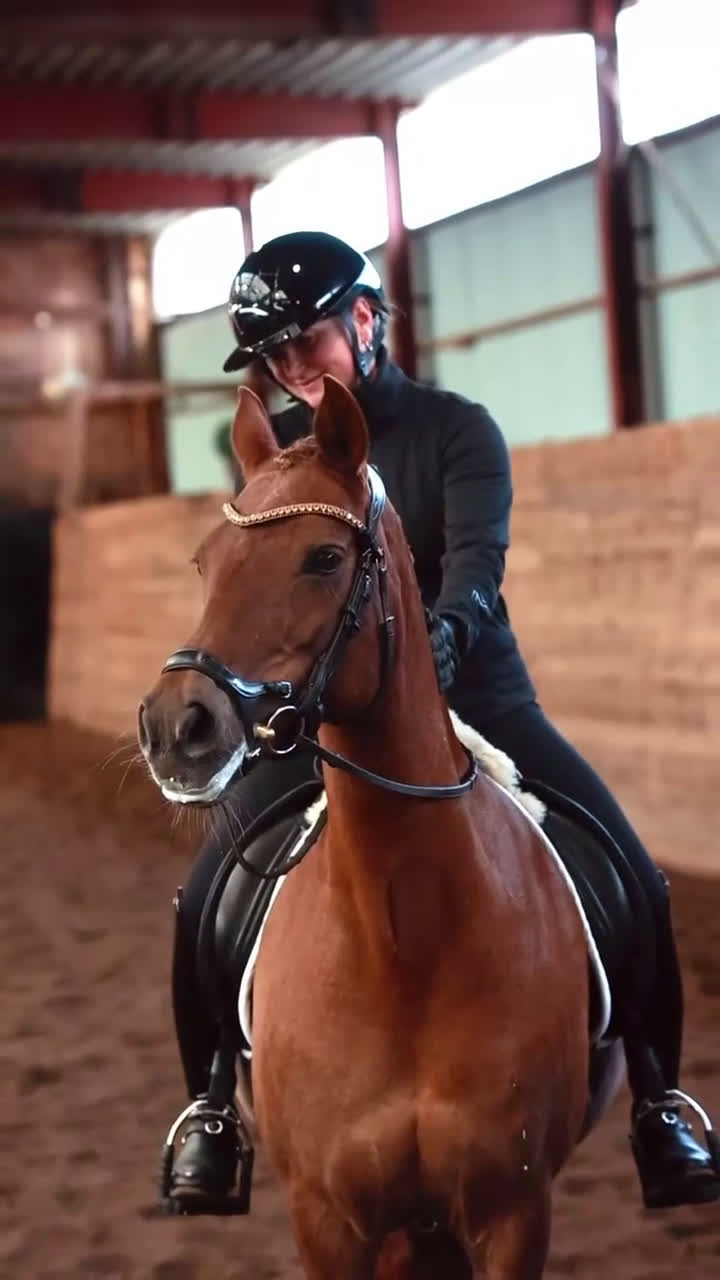 Dressyr hästar till salu: Fantastisk dressyr ponny i Vätö - Video 1