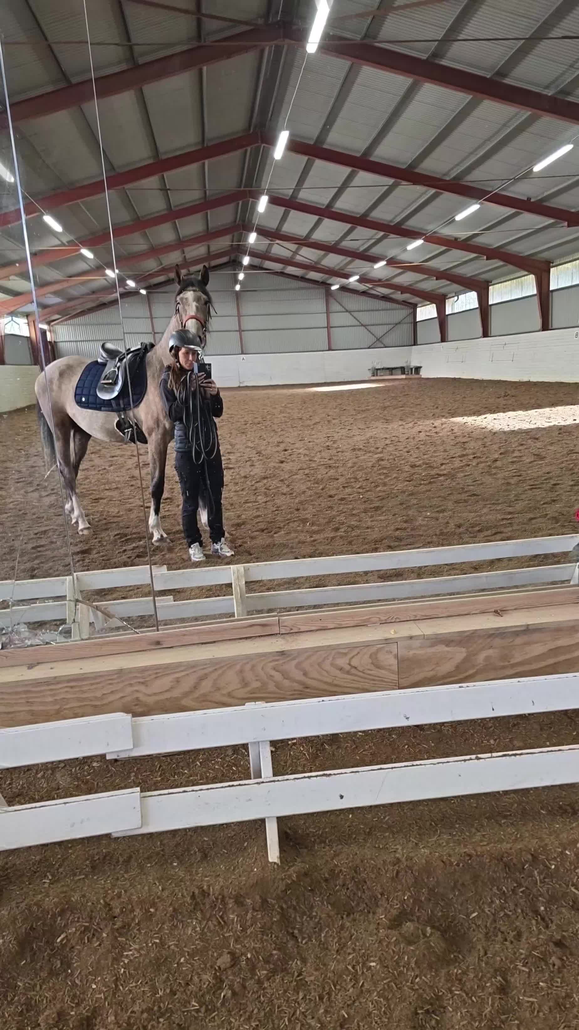 Allround hästar till salu: Lovande 3 årig swb valack - Video 1