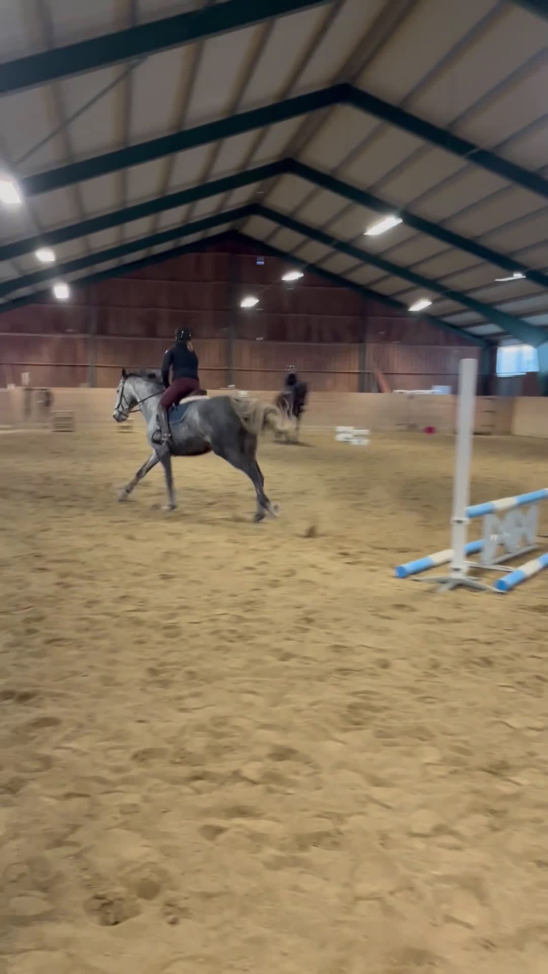 Allround hästar till salu: Trevligt Swb sto - Video 3