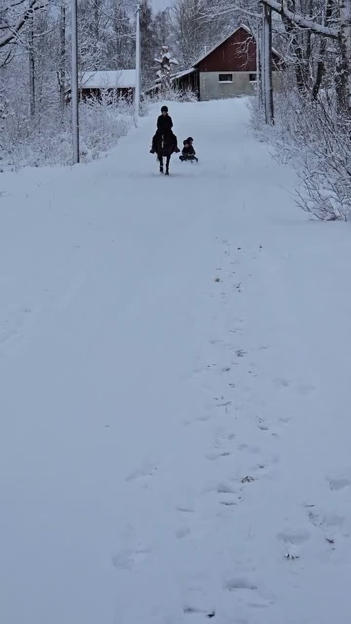 Allround hästar till salu: Världens bästa ponny! - Video 5