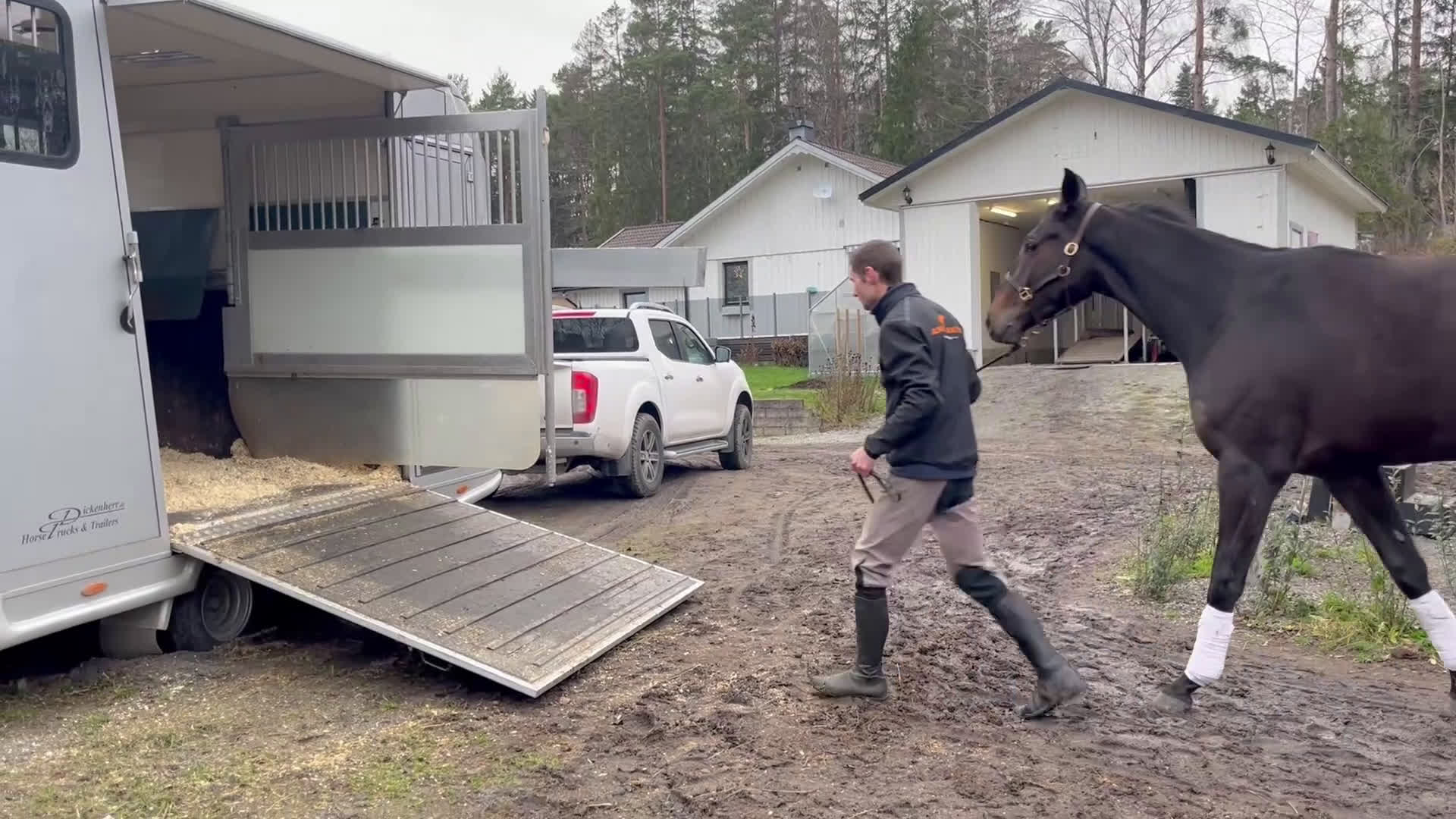 Allround hästar till salu: Högrest fullblod med stor potential i Bro - Video 5