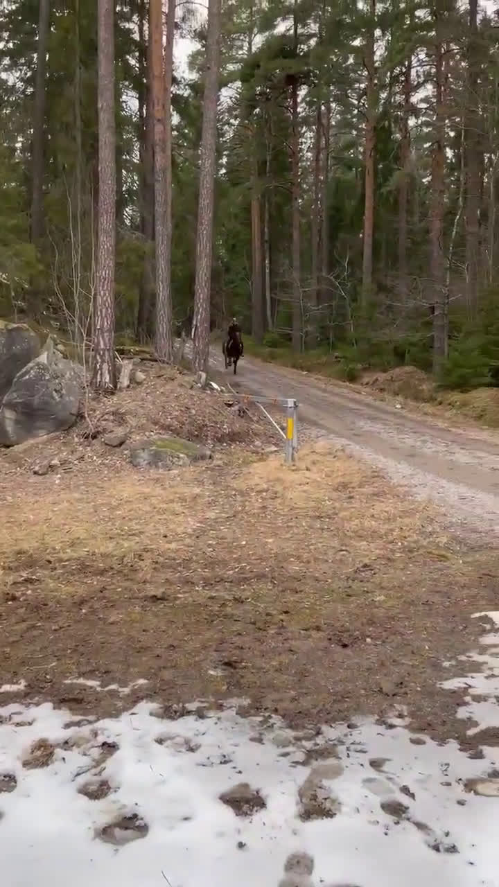  foderhäst finnes: Medryttare sökes till Ljusterö  i Bergshamra - Video 1