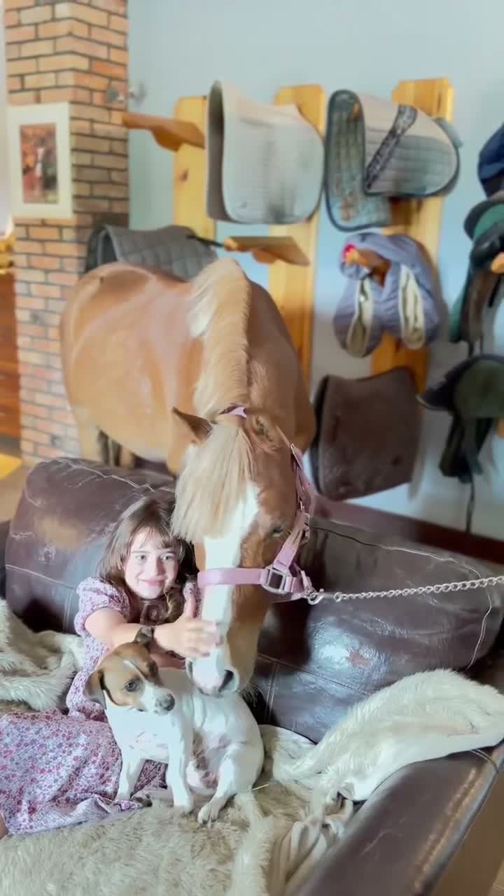 Hoppning hästar till salu: Top jumping pony! C-group - Video 1