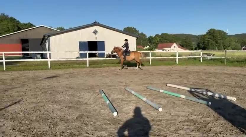 Allround hästar till salu: Verksamhet / Mor och dotter  - Video 2