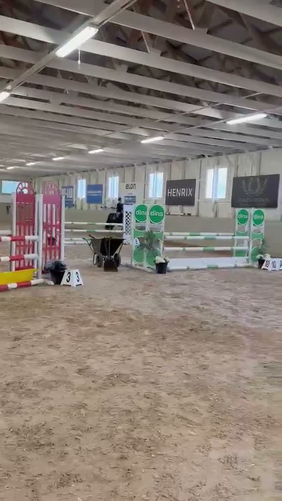 Hoppning hästar till salu: Tävlingsponny med kapacitet för det högsta - Video 1