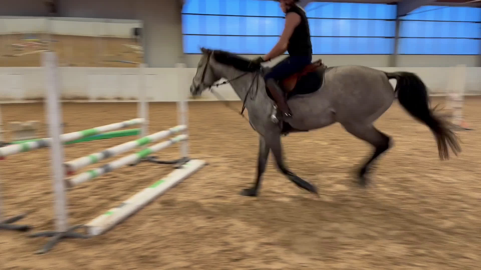 Hoppning hästar till salu: Lyxig hobbyhäst  i Karlstad - Video 4