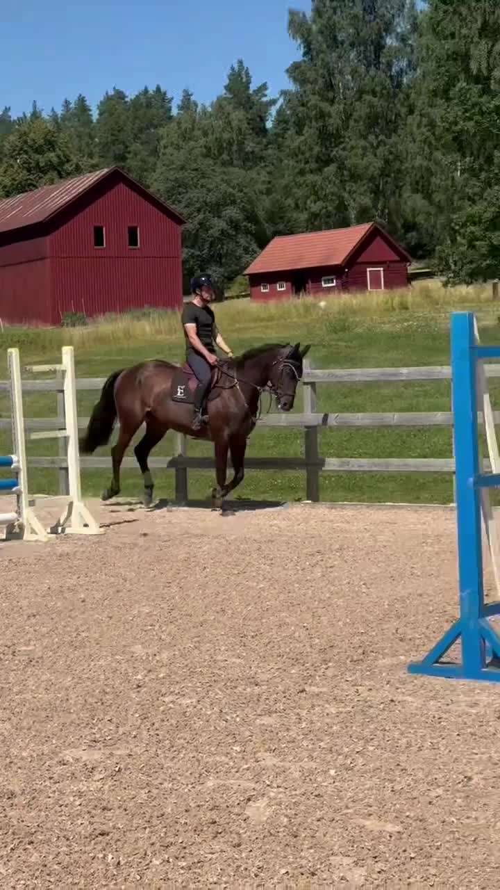 Hoppning hästar till salu: Kvalitéts ponny ✨ - Video 1