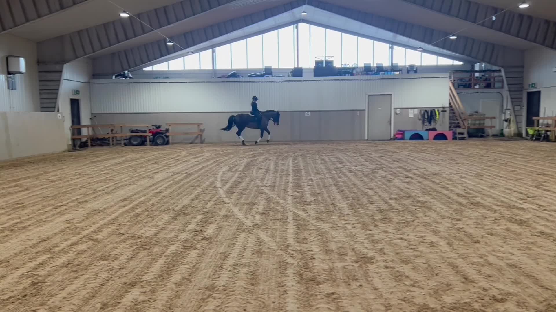 Dressyr hästar till salu: Dressyrhäst med potential  - Video 3