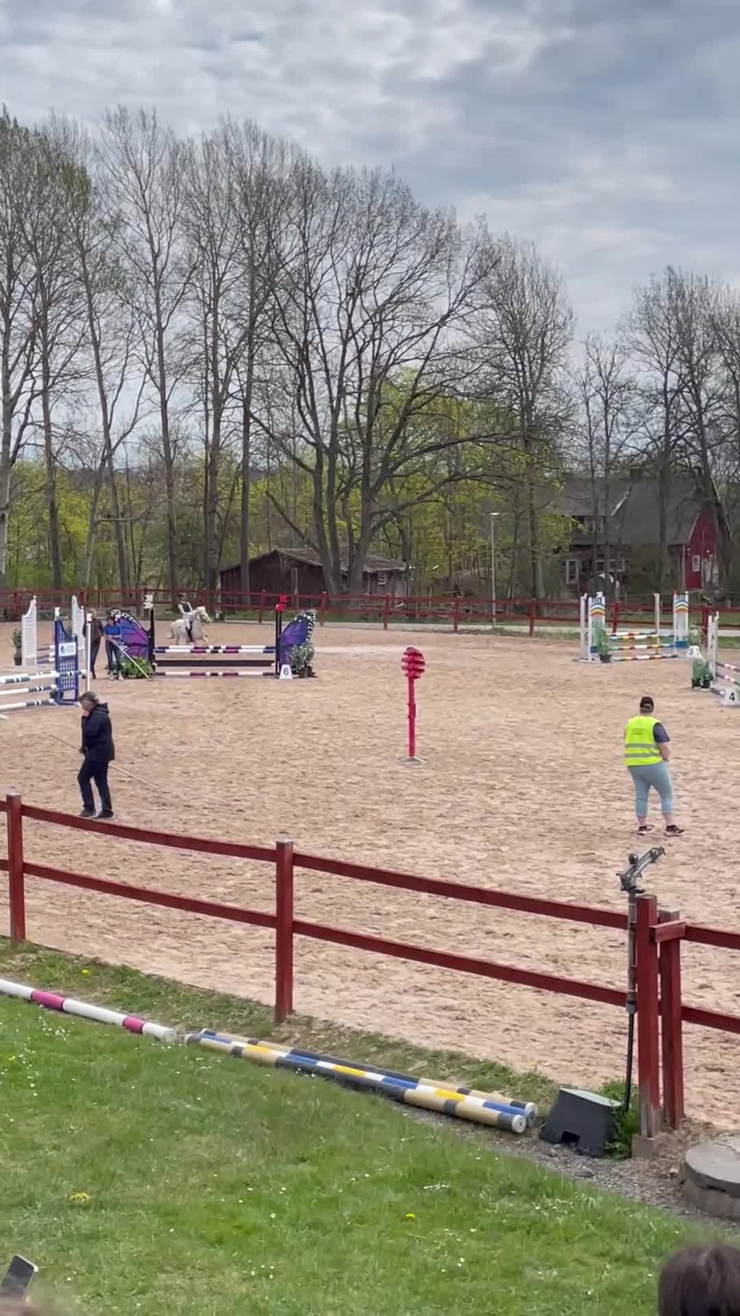 Allround hästar till salu: Rosettplockare hoppning/dressyr 🌸 - Video 2