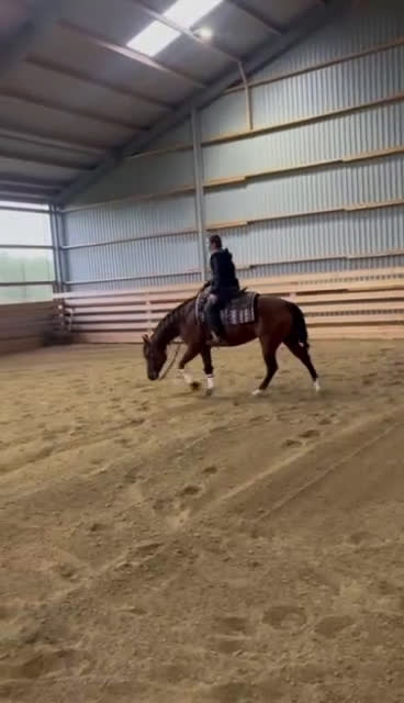 Western hästar till salu: Läromästare  i Häljarp - Video 3