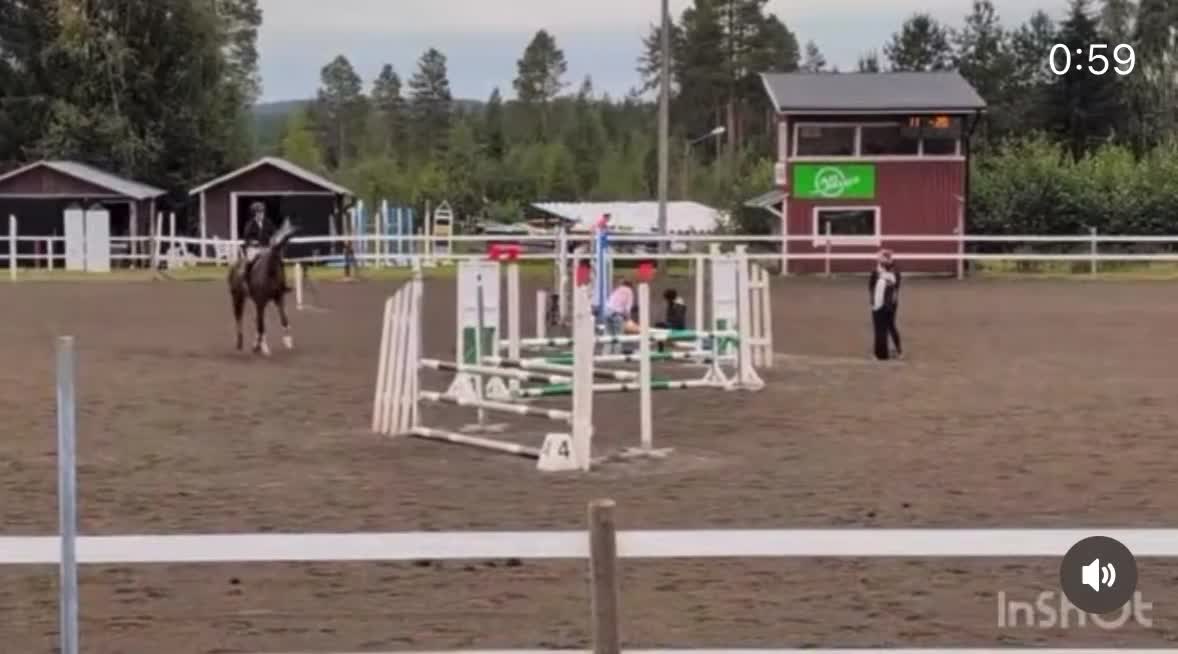 Hoppning hästar till salu: Magisk vacker 4 åring med toppstam! - Video 2