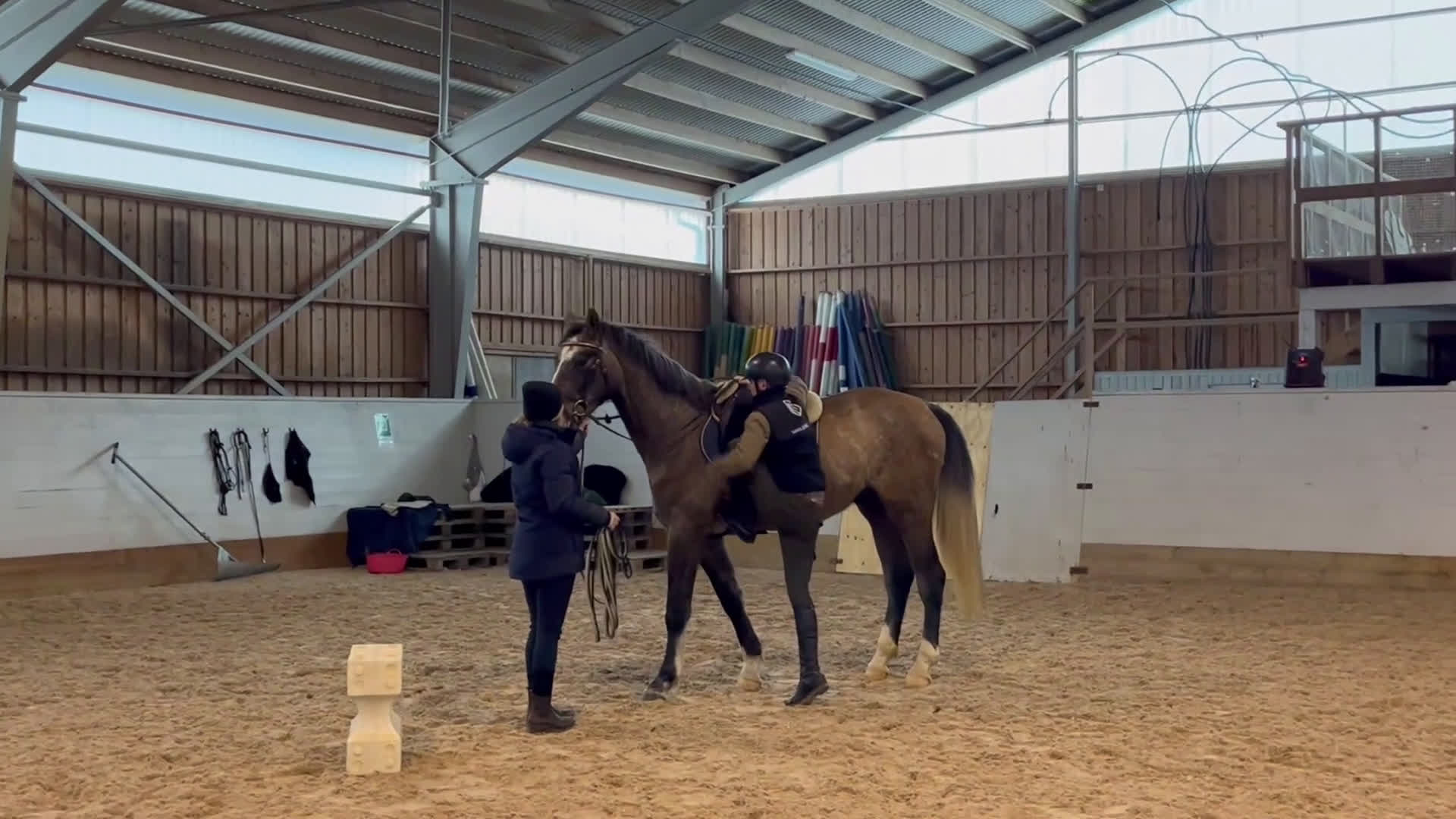 Hoppning hästar till salu: Snäll och talangfull hopphäst i Hjo - Video 2