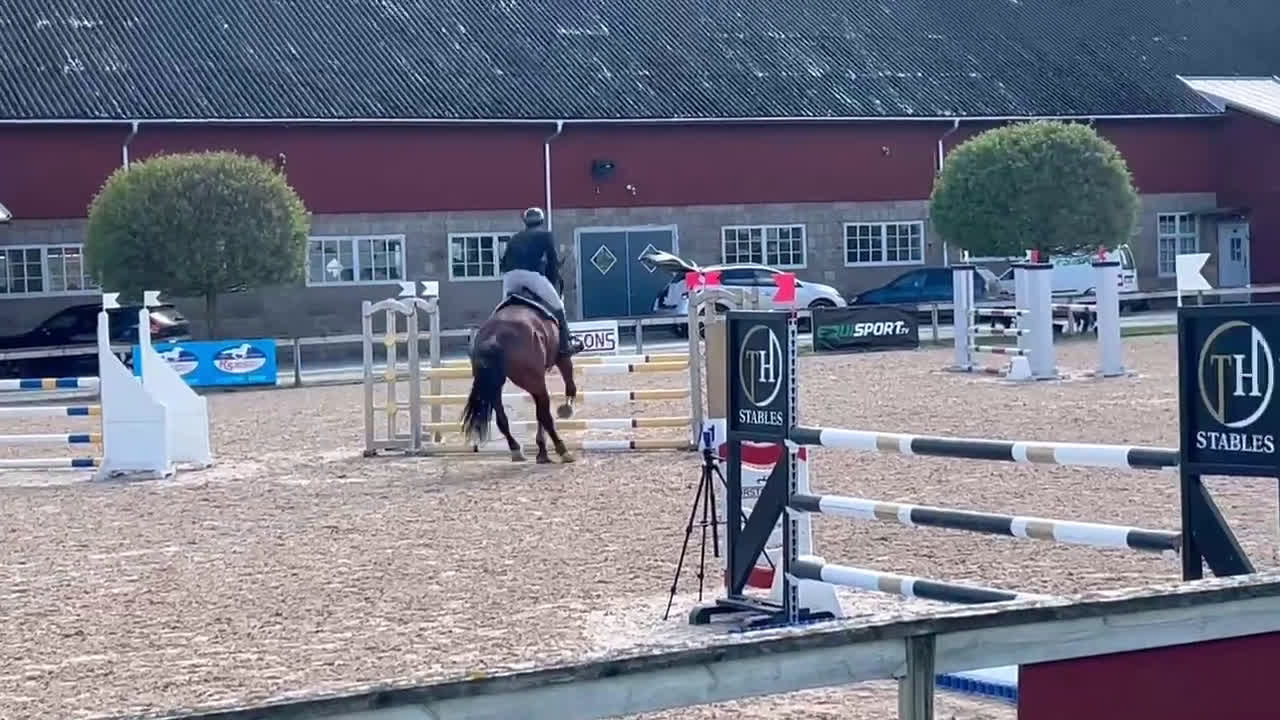Allround hästar till salu: Fin hopphäst i Västerås - Video 2