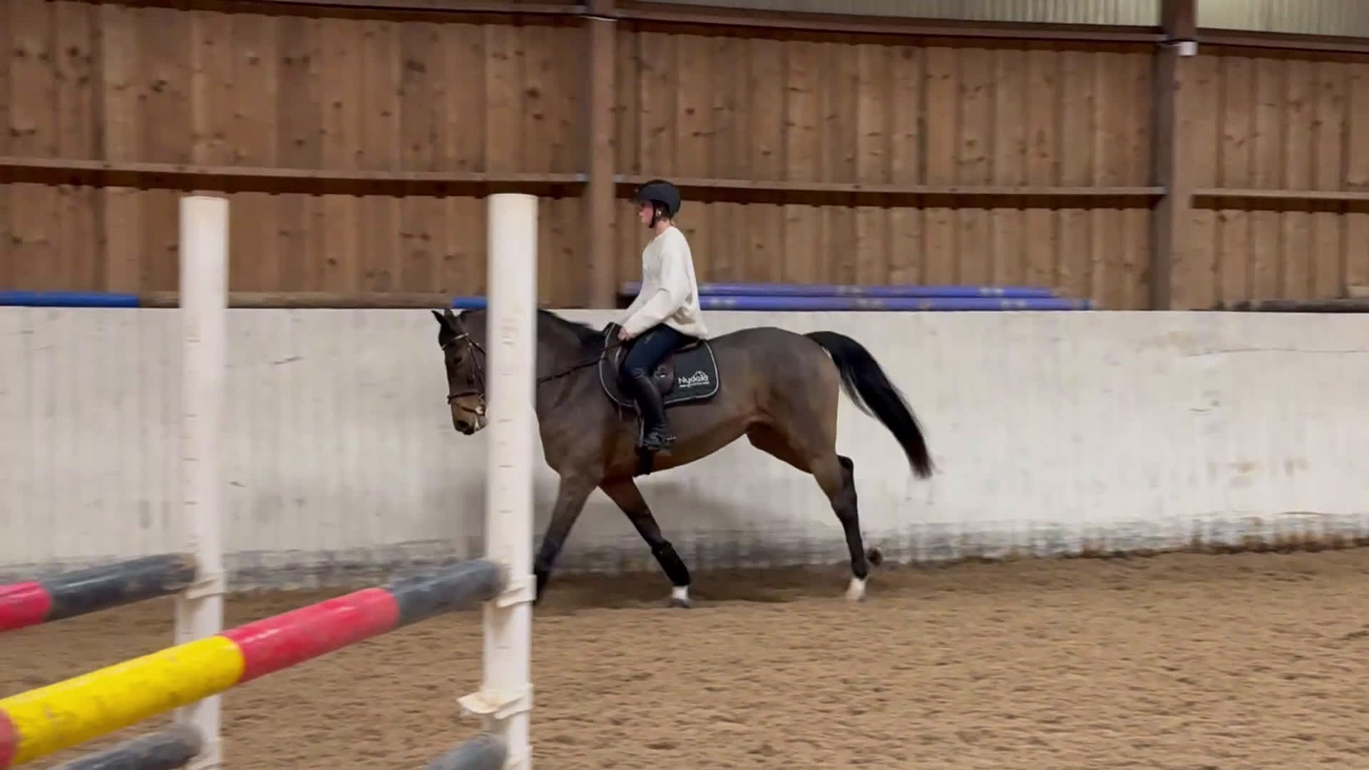 Hoppning hästar till salu: Talangfullt hoppsto -19 i Mullsjö - Video 1