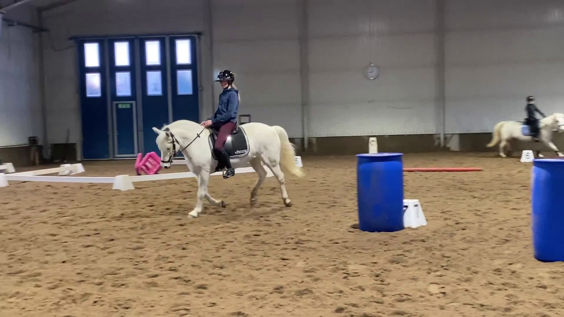 Dressyr hästar till salu: Trygg och kapabel tävlingsponny i Luleå - Video 2