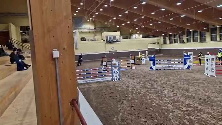 Hoppning hästar till salu: 🌟Drömponny I Toppklass🌟 - Video 2