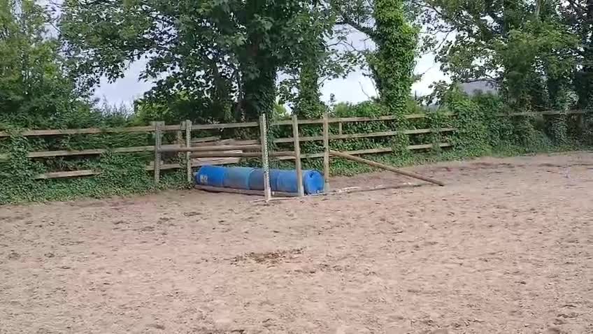 Hoppning hästar till salu: 4 årig d-ponny valack  i Ödsmål - Video 5