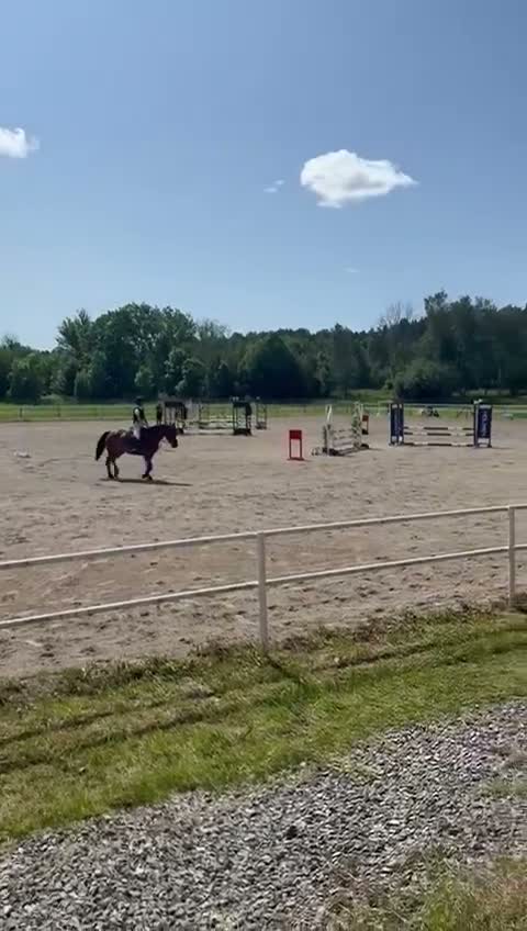 Allround hästar till salu: ❤️ Talangfull maxad C-ponny med stor kapacitet ❤️ - Video 3