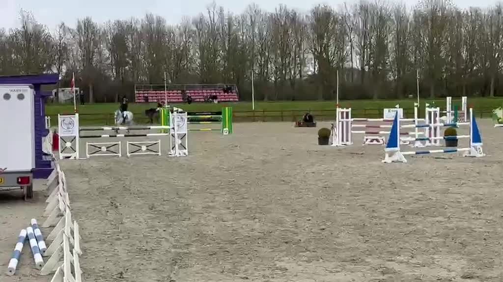 Hoppning hästar till salu: Fantastisk hest med godt mind set - Video 3