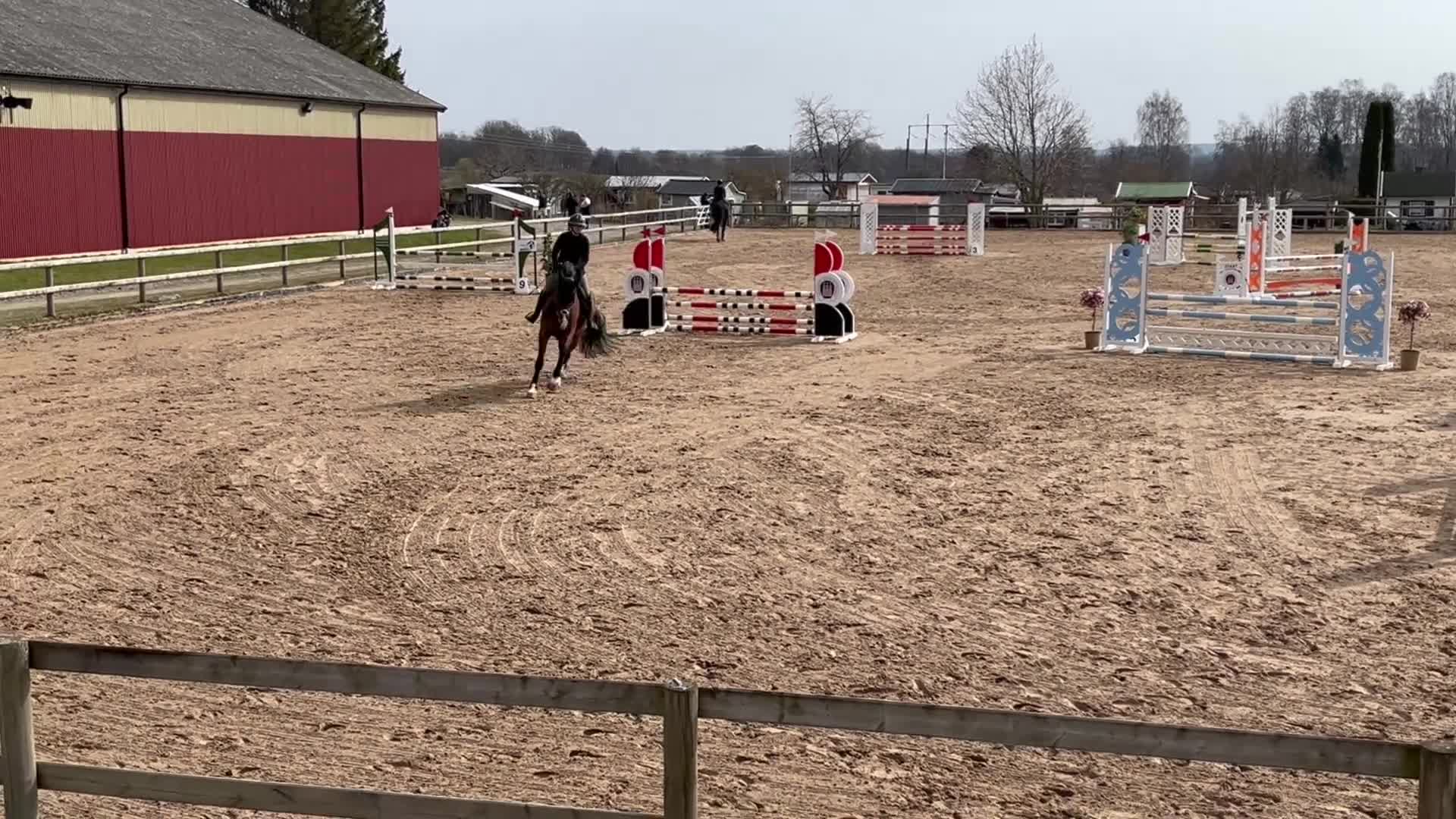 Allround hästar till salu: Intressekoll Valack e. Kannan - Video 1