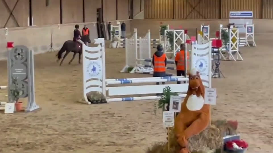 Hoppning hästar till salu: Fin hopp-ponny med unik stam - Video 2
