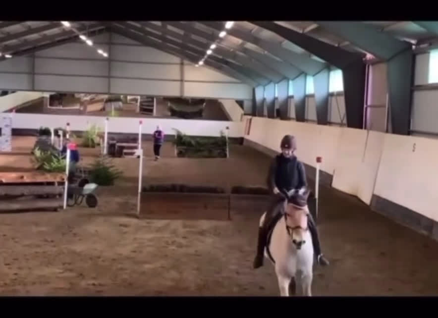  medryttarhäst finnes: Dressyr intresserad ryttare sökes till Fjording i Västerhaninge - Video 1