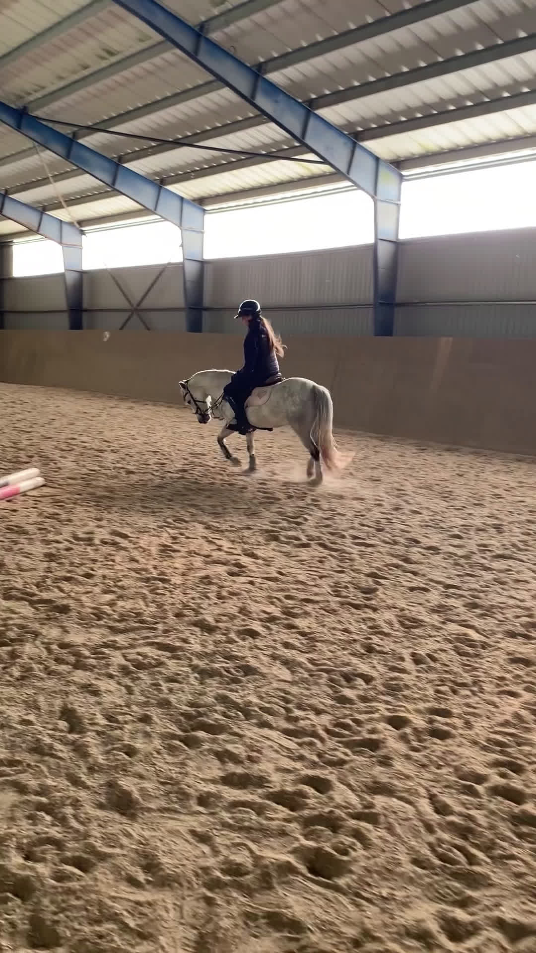 Hoppning hästar till salu: En oslipad diamant i Ytterby - Video 2