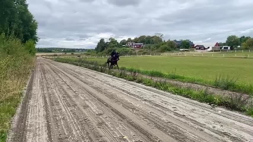 Allround hästar till salu: Intressekoll 🌟 - Video 2