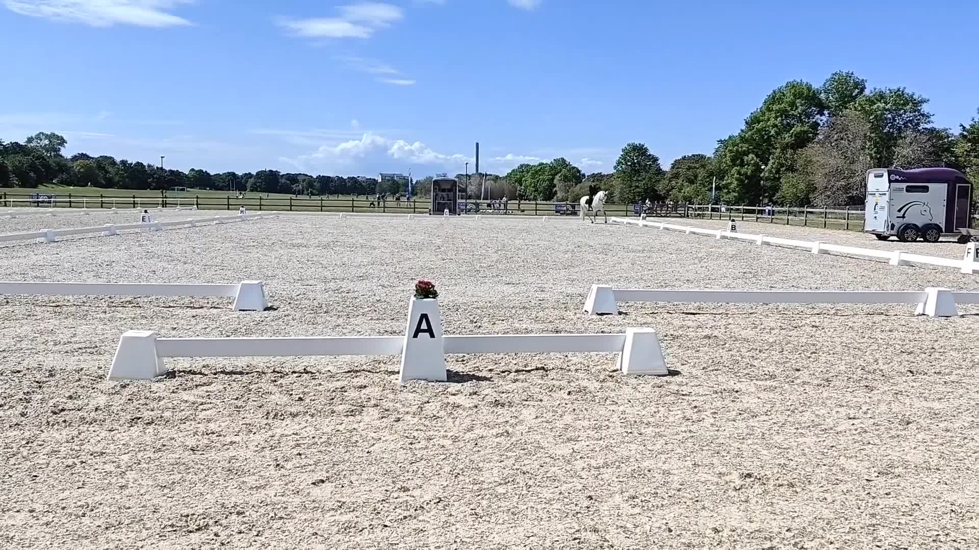 Working Equitation hästar till salu: Mångsidig PRE-valack i Asmundtorp - Video 1