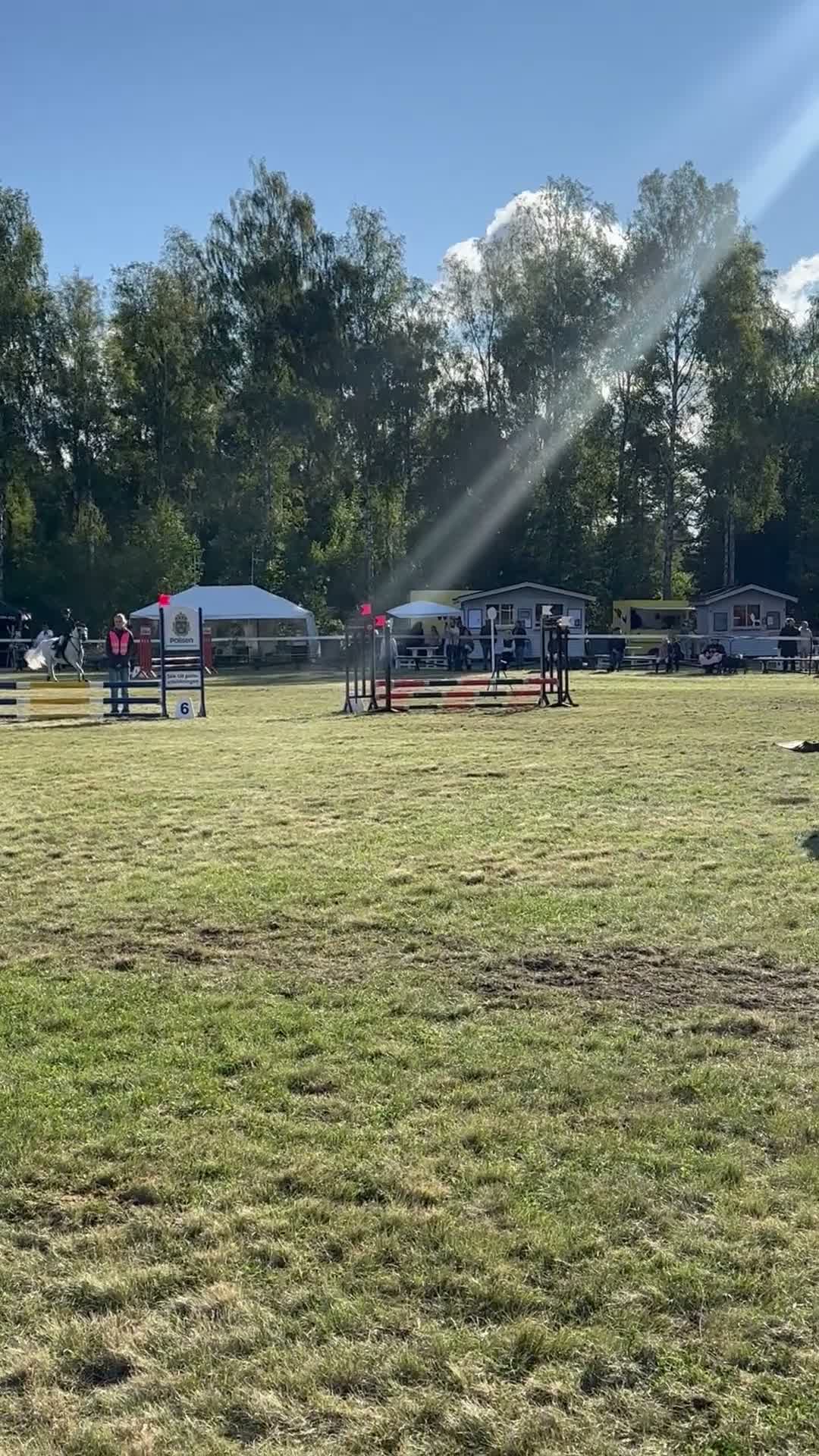 Hoppning hästar till salu: Irländsk super maxad b-ponny! i Västervik - Video 2