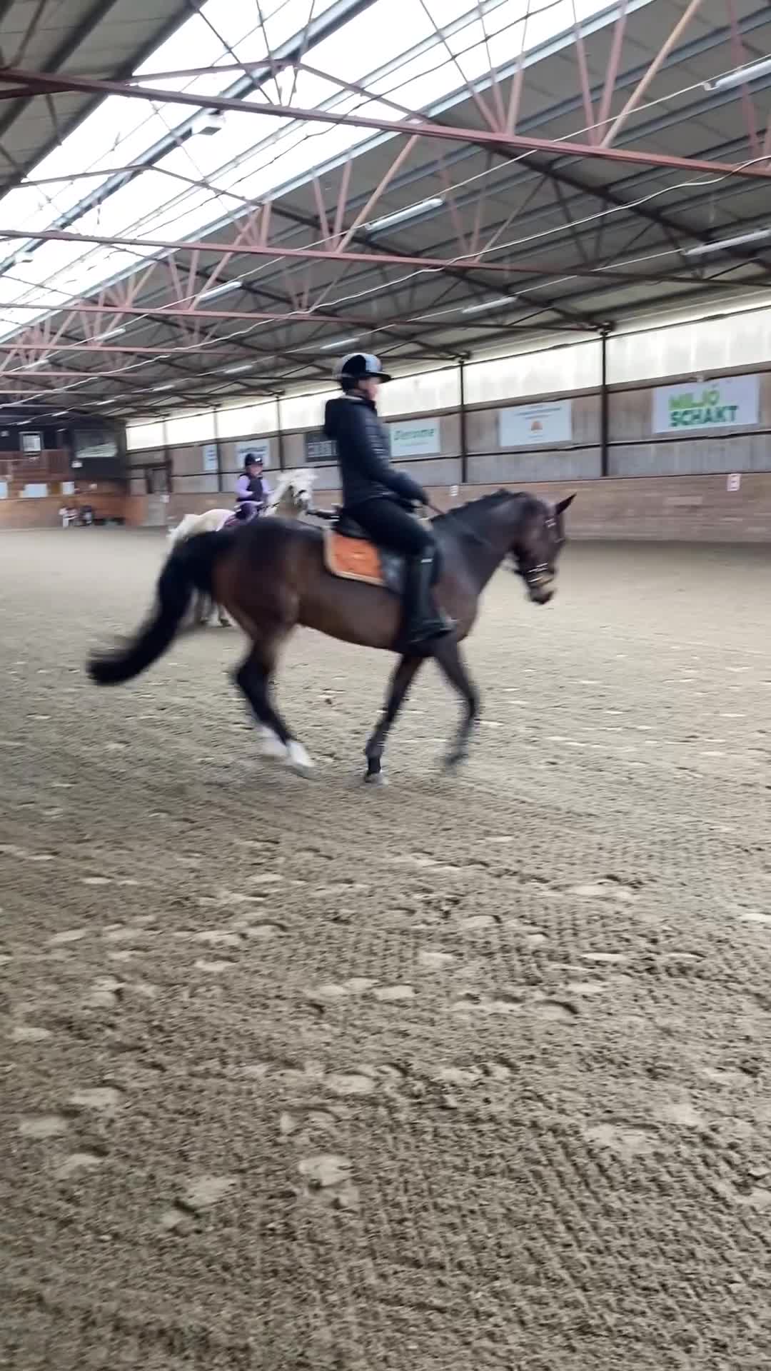 Allround hästar till salu: Fin och rolig ponny - Video 1