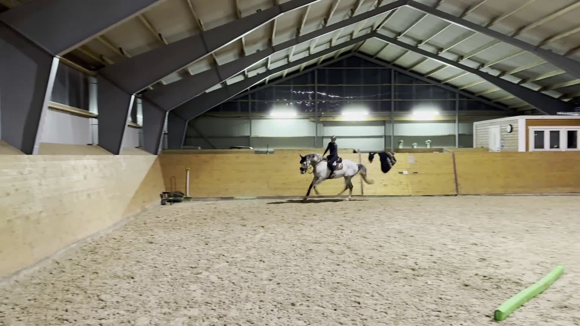 Allround hästar till salu: Världens finaste kille söker ny bästavän🦄🌟 i Halmstad - Video 4