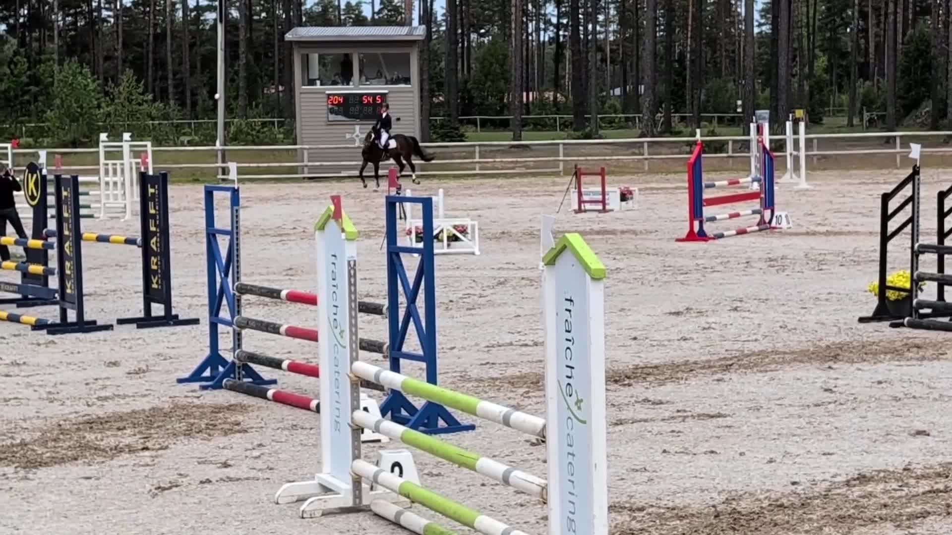 Allround hästar till salu: Talangfull 5-åring för hoppning eller fälttävlan - Video 3
